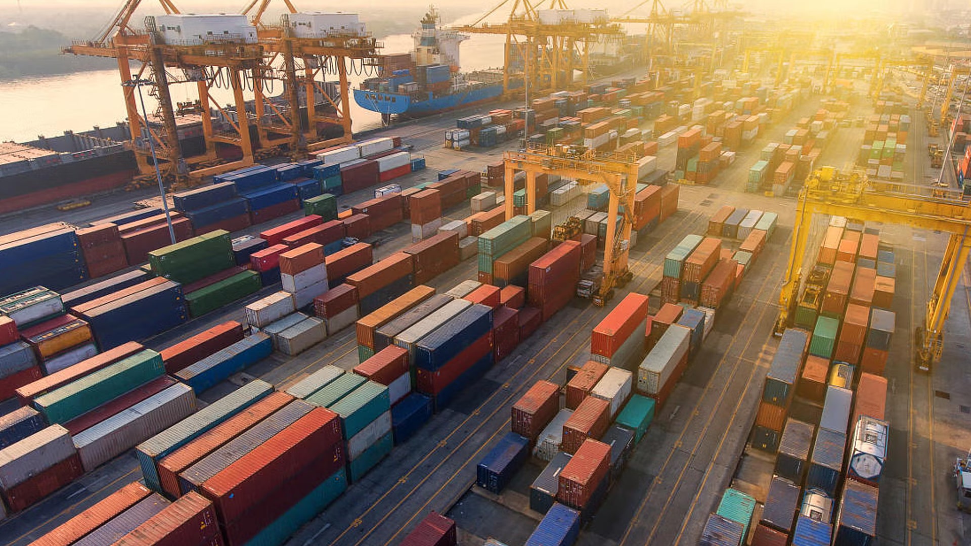Import & Export's image